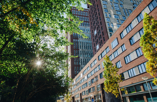 aanbod grote woningen