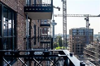 Little C -The Burton