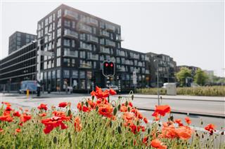 Bethelpark - appartementen