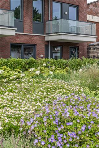 Twellosebeeklaan 145 