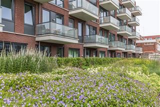 Twellosebeeklaan 123 